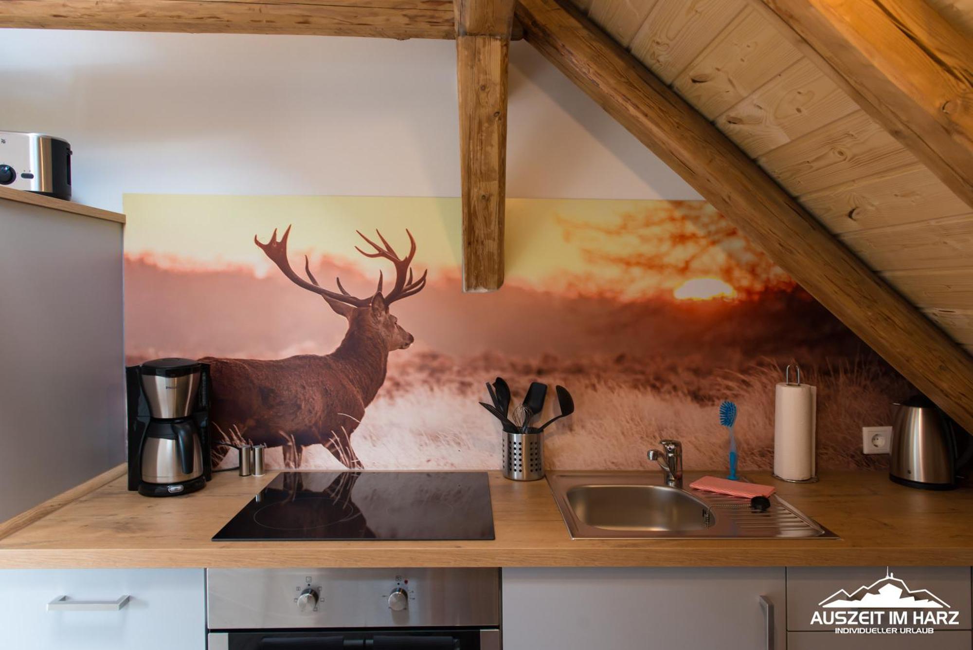 Auszeit Im Harz - Haus 2 Wohnung 5 Schierke Buitenkant foto